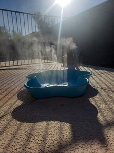 Misting Paw Pool